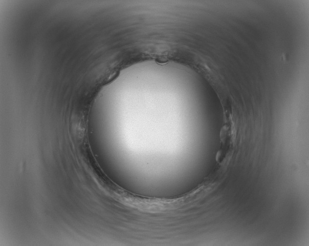 X0000079330040200612011919
