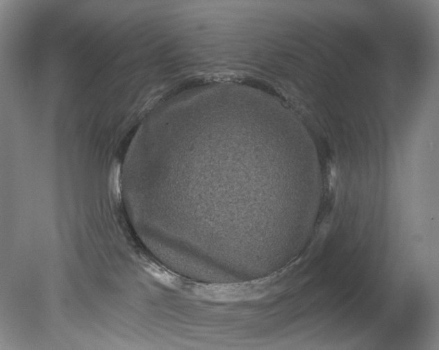 X0000079330041200612011919