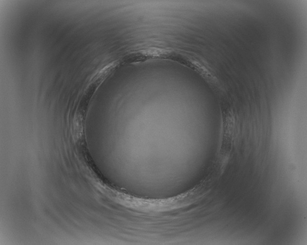 X0000079330043200612011919