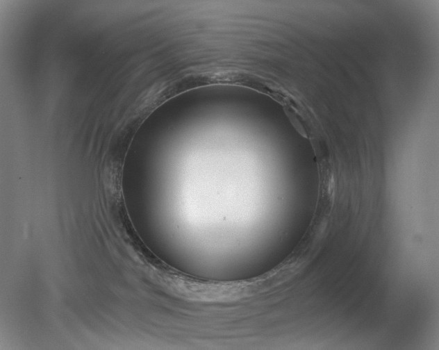 X0000079330044200612011919