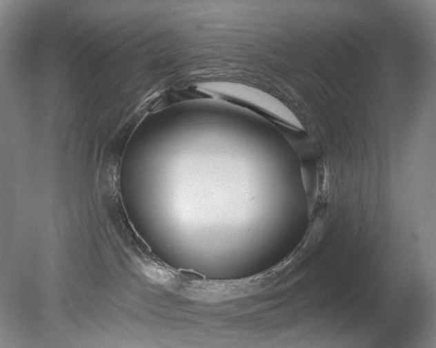 X0000079330045200612011919