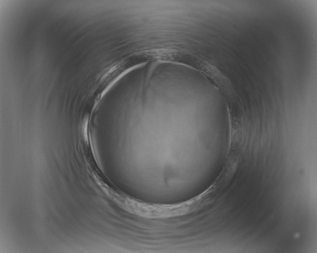 X0000079330047200612011919