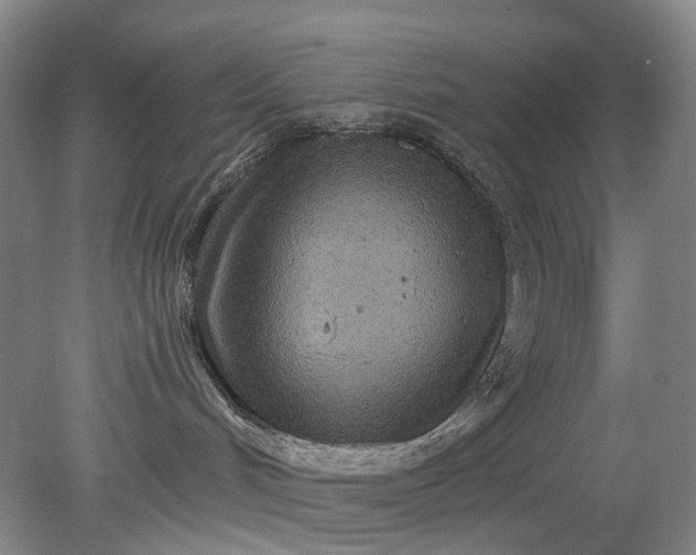 X0000079330048200612011919