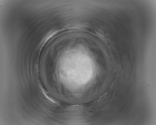 X0000079330050200612011918