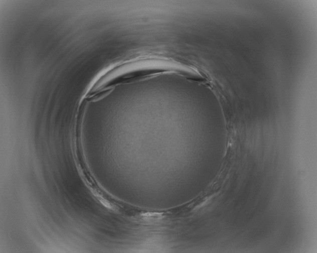 X0000079330052200612011918