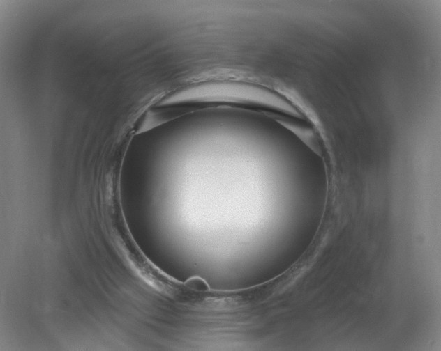X0000079330057200612011918