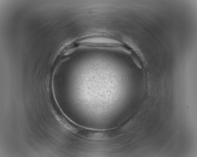 X0000079330058200612011918