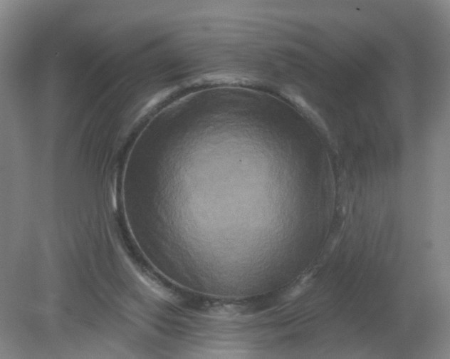 X0000079330062200612011918