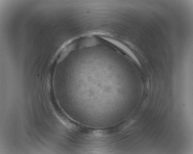 X0000079330064200612011919