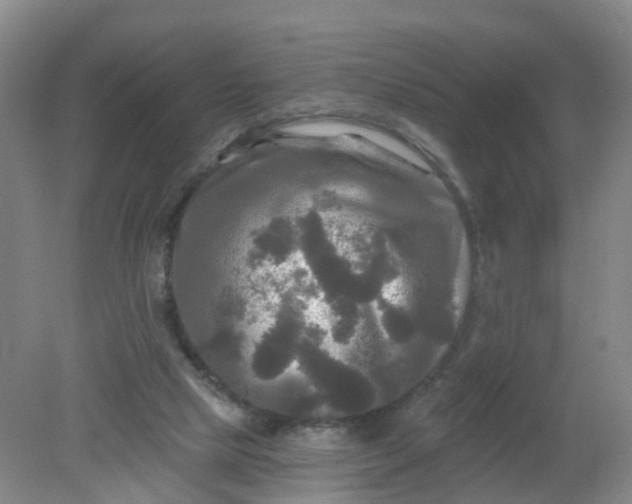 X0000079330065200612011919