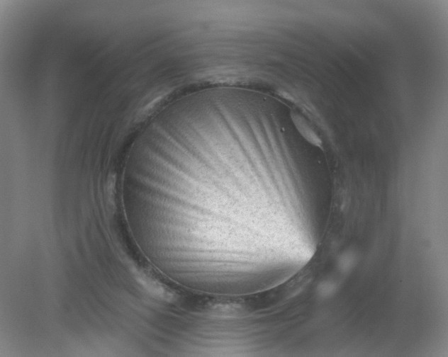 X0000079330066200612011919