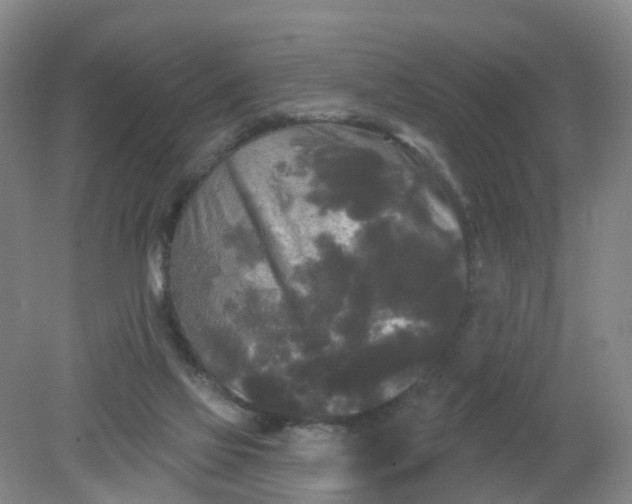 X0000079330069200612011919