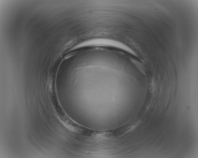 X0000079330072200612011919