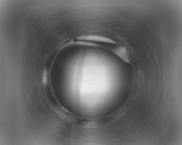 X0000079330075200612011919