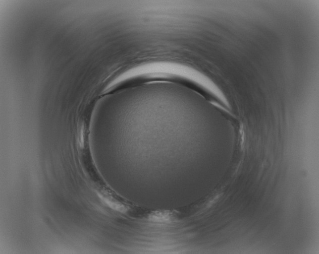 X0000079330076200612011919