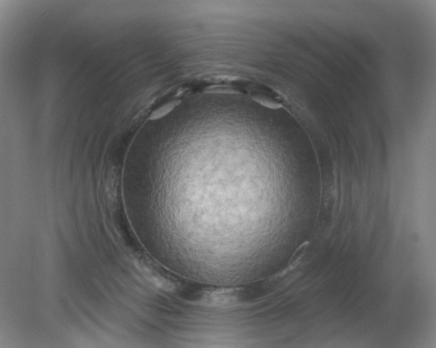 X0000079330078200612011919