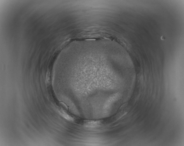 X0000079330081200612011919
