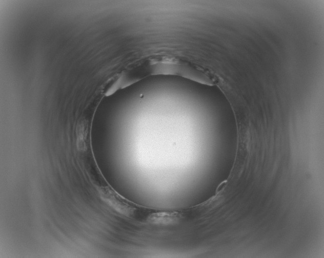 X0000079330082200612011919