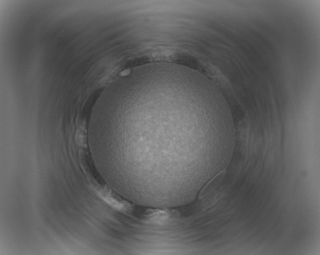 X0000079330083200612011919
