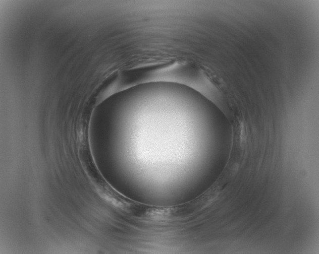 X0000079330084200612011919