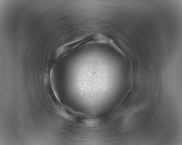 X0000079330085200612011919