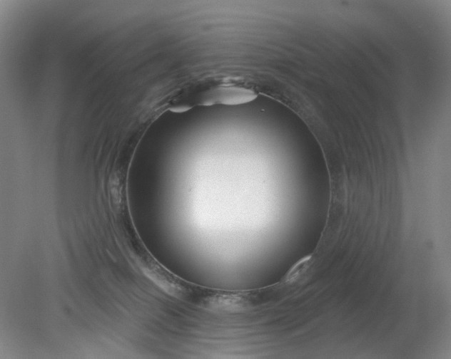X0000079330086200612011919
