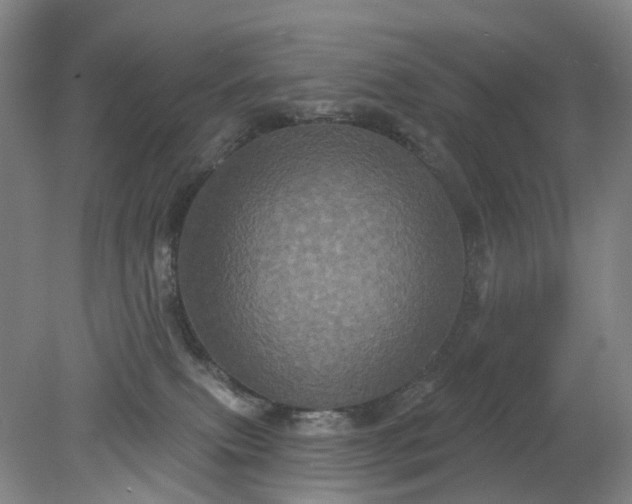 X0000079330087200612011919