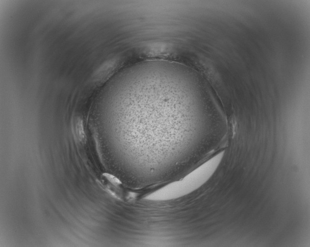 X0000079330089200612011919