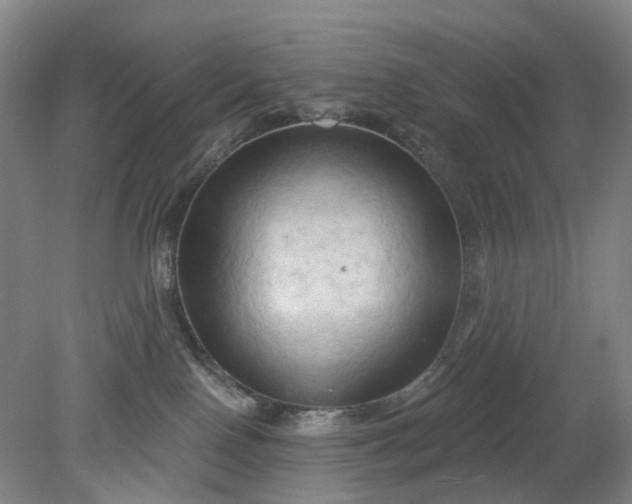 X0000079330090200612011919