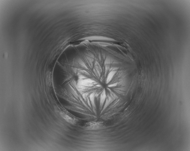 X0000079330093200612011919