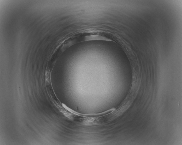 X0000079330096200612011919