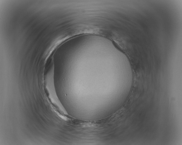 X0000079330098200612011918
