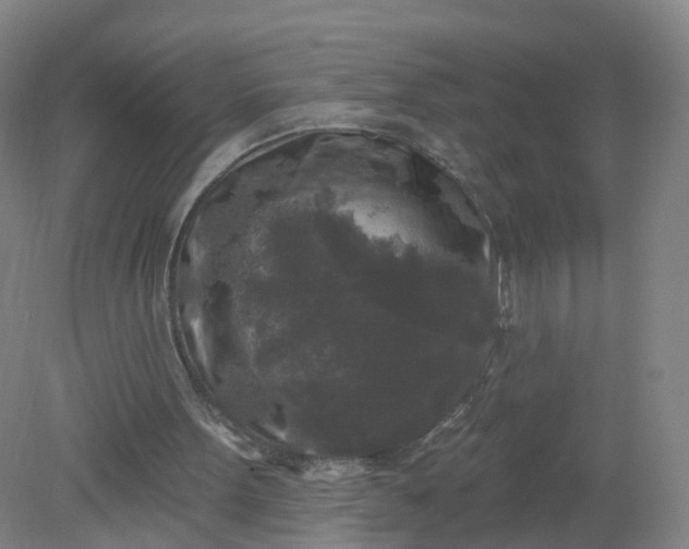 X0000079330099200612011918
