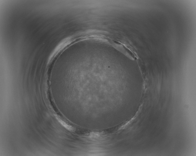 X0000079330101200612011918