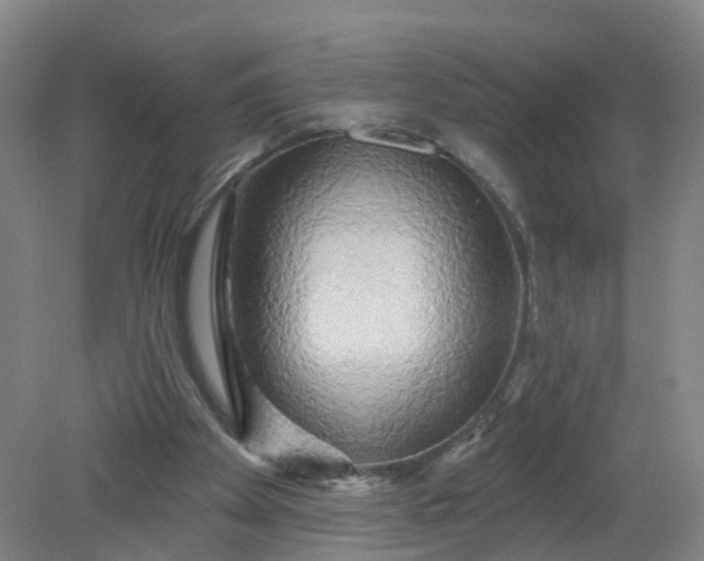 X0000079330105200612011918