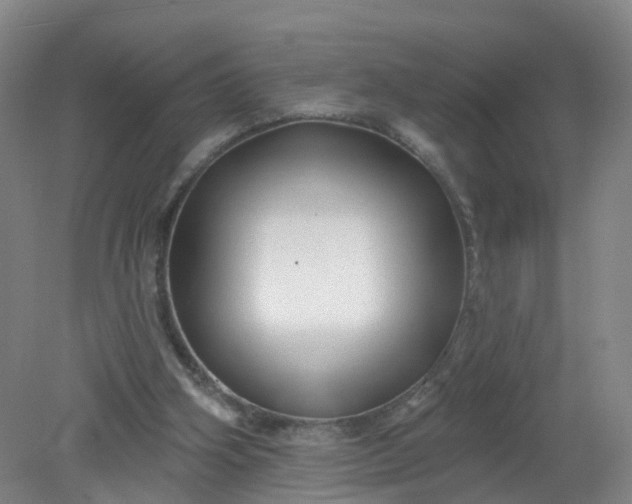 X0000079330106200612011918