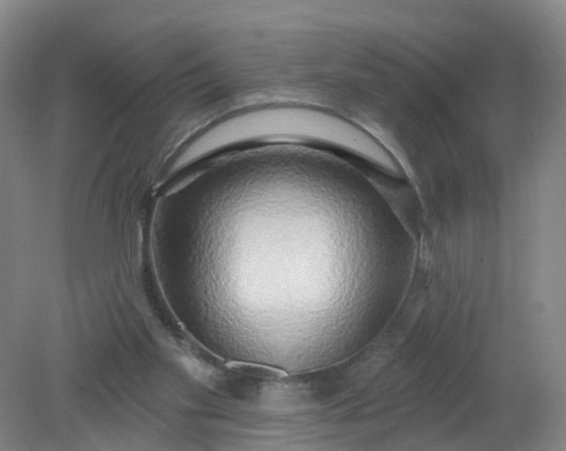 X0000079330109200612011918