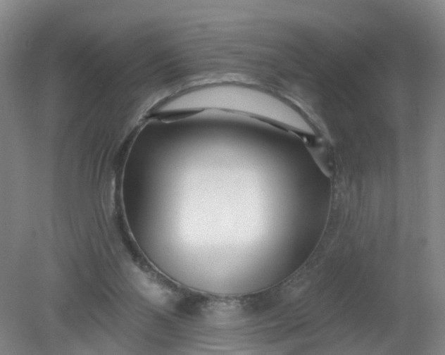 X0000079330110200612011918