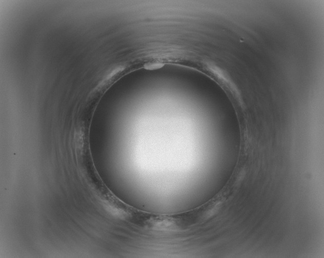 X0000079330113200612011918