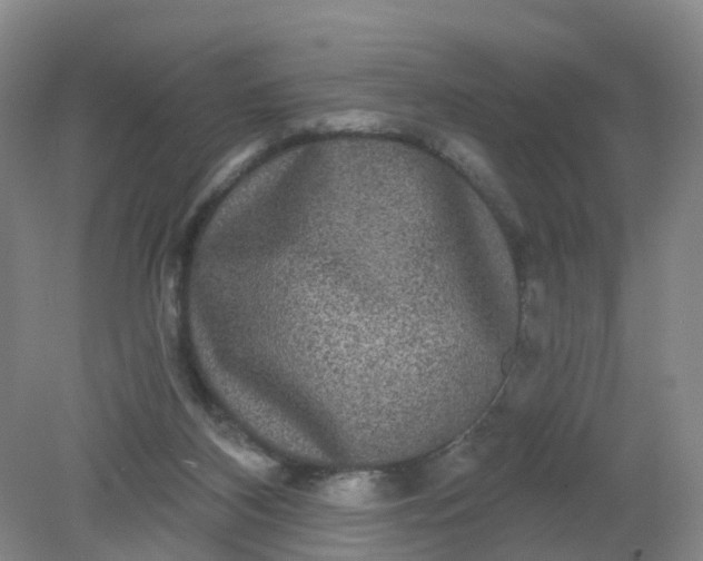 X0000079330116200612011918