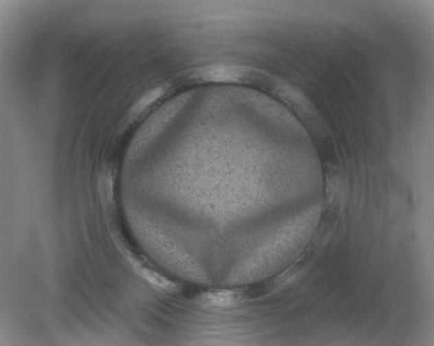 X0000079330120200612011918