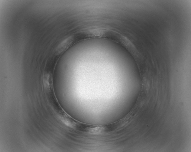 X0000079330122200612011918
