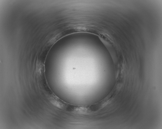 X0000079330125200612011918