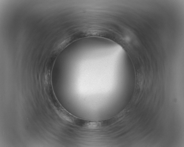 X0000079330126200612011918