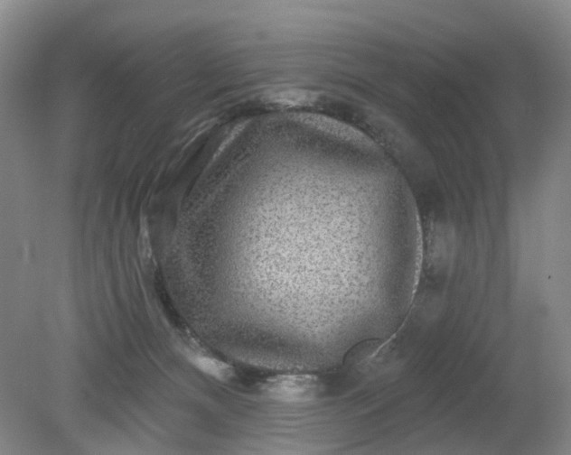 X0000079330128200612011918