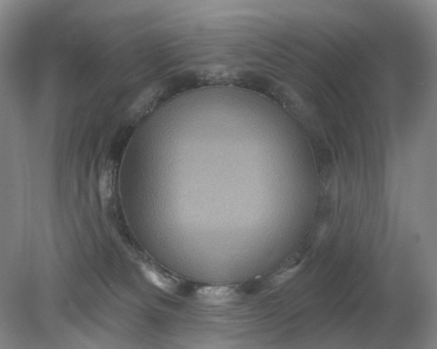 X0000079330133200612011918
