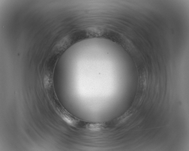 X0000079330134200612011918