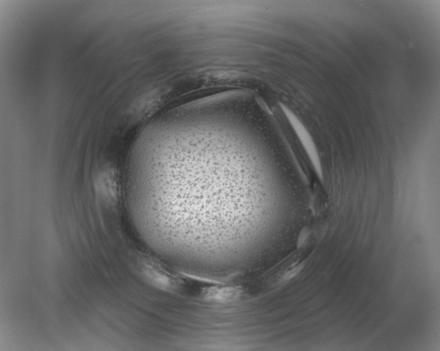 X0000079330135200612011918