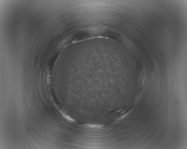 X0000079330137200612011918