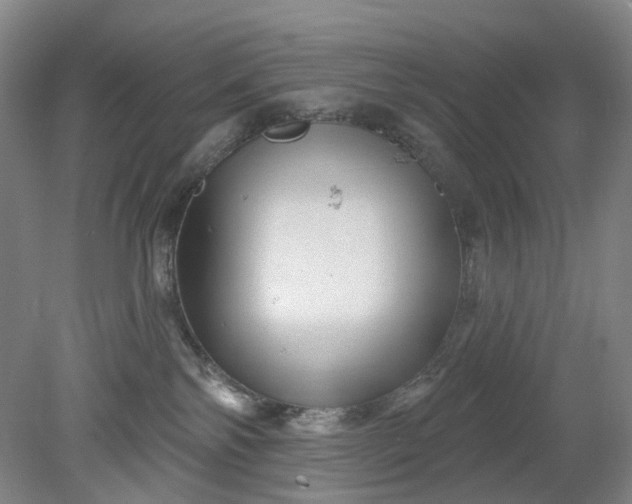 X0000079330138200612011918